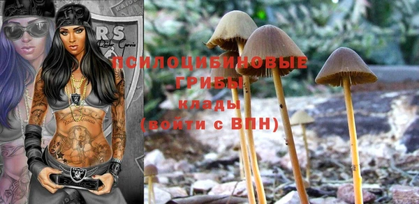 хмурый Абаза