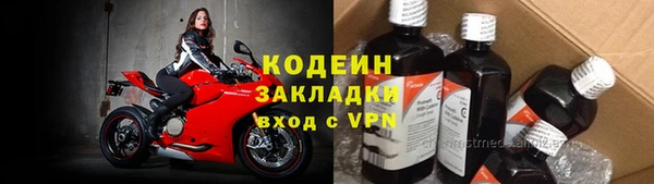 хмурый Абаза
