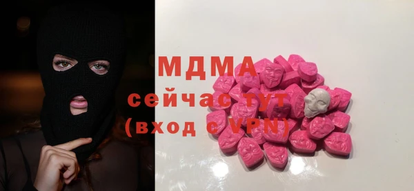 хмурый Абаза