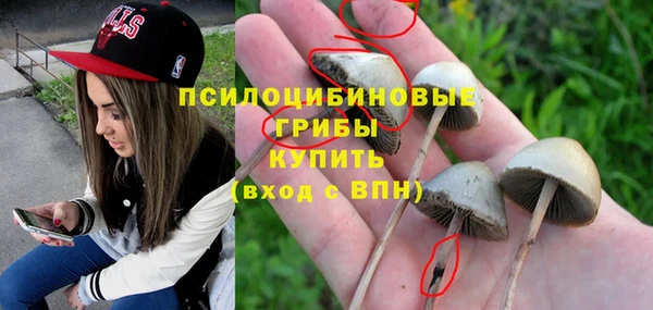 хмурый Абаза