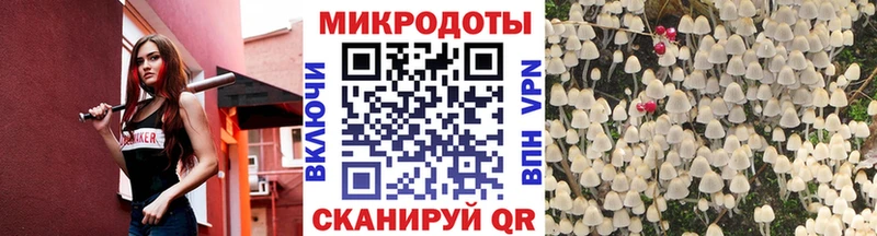 Псилоцибиновые грибы мицелий  Барыш 